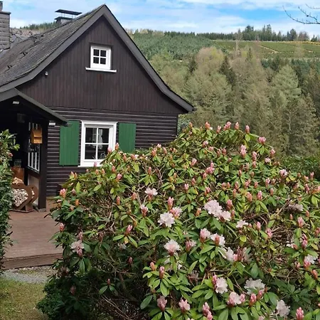 Holiday home Tannenhaeuschen Sauerland Schmallenberg