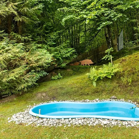 Holiday home Tannenhaeuschen Sauerland