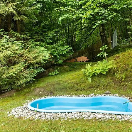 Tannenhaeuschen Sauerland Tatil Evi