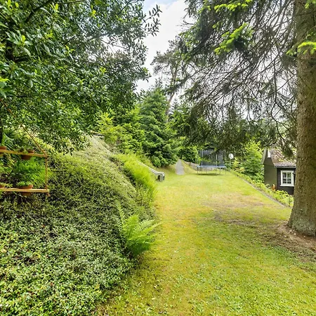 Tannenhaeuschen Sauerland Schmallenberg