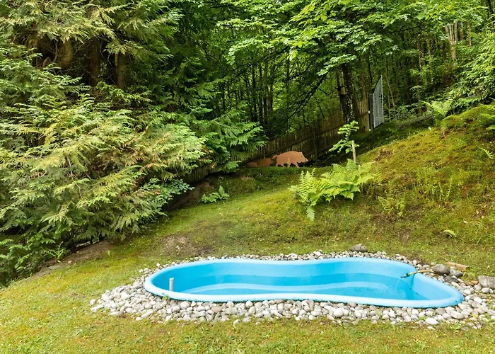Дом отдыха Tannenhaeuschen Sauerland